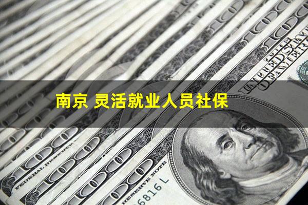 南京 灵活就业人员社保